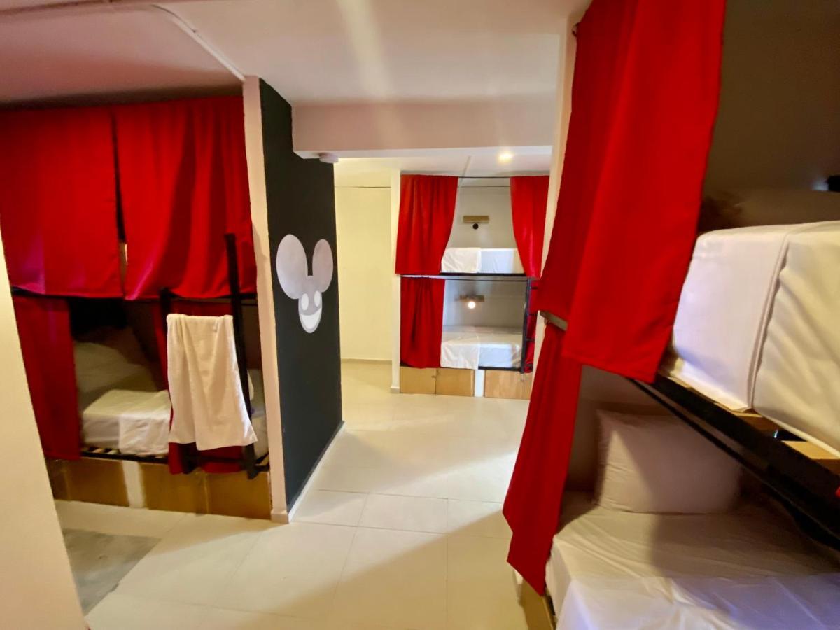 Why Not Rooftop Party Hostel Playa del Carmen Dış mekan fotoğraf