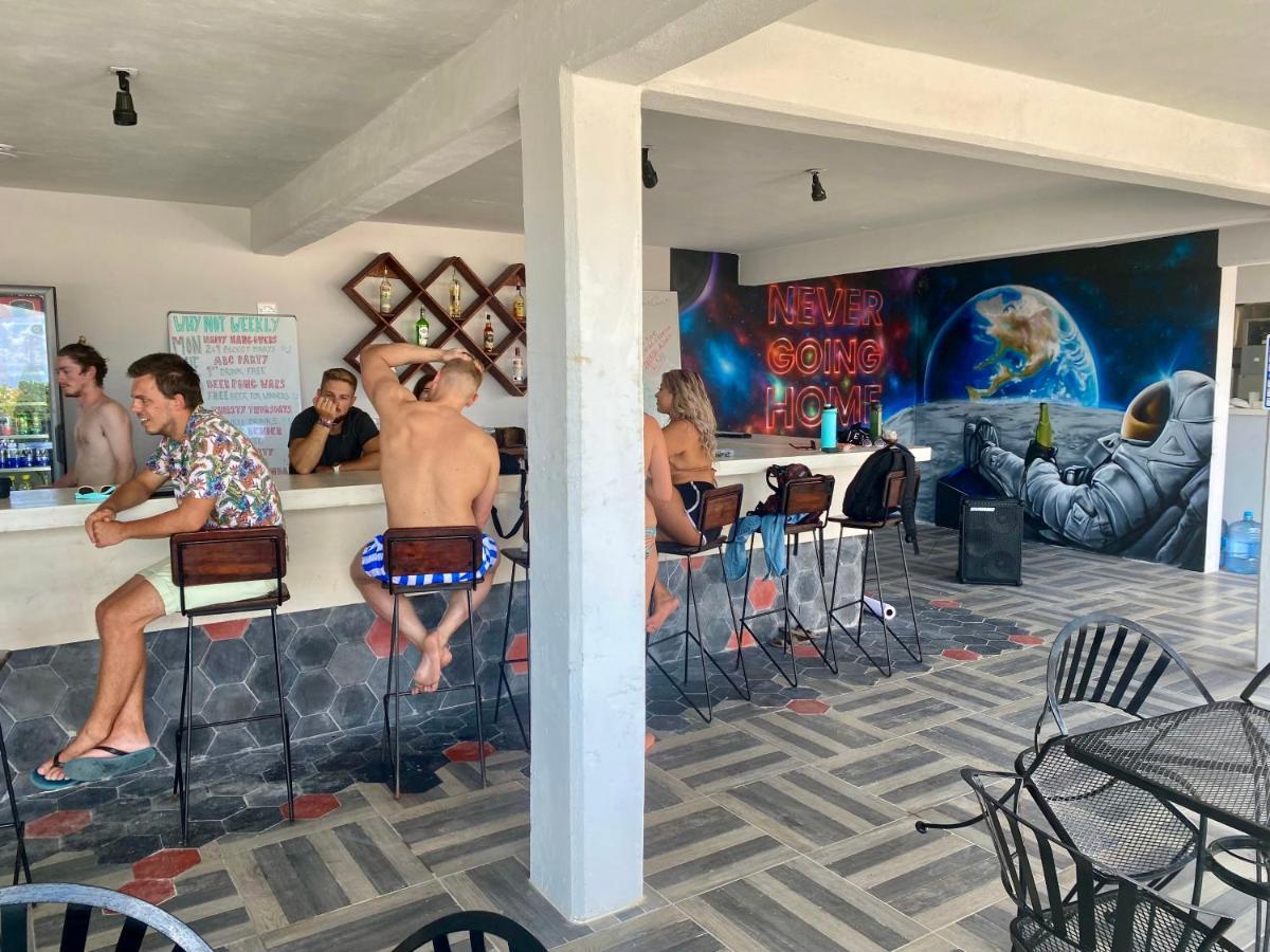 Why Not Rooftop Party Hostel Playa del Carmen Dış mekan fotoğraf
