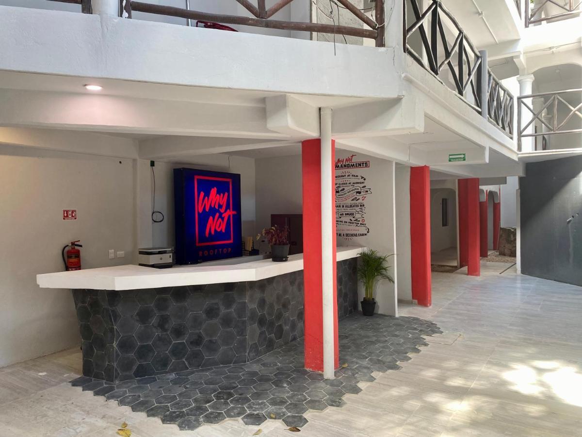 Why Not Rooftop Party Hostel Playa del Carmen Dış mekan fotoğraf