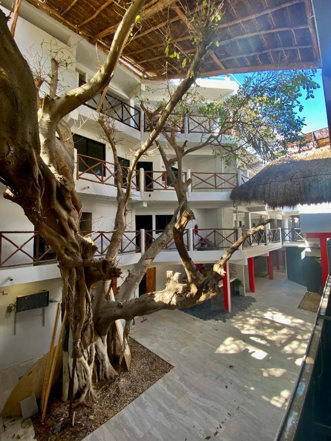 Why Not Rooftop Party Hostel Playa del Carmen Dış mekan fotoğraf