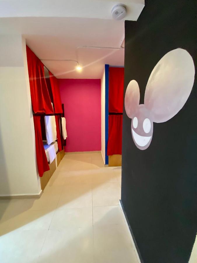 Why Not Rooftop Party Hostel Playa del Carmen Dış mekan fotoğraf