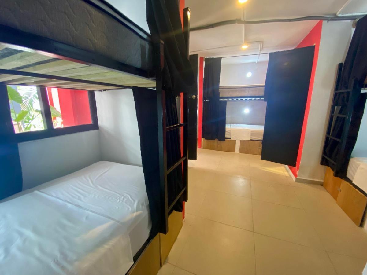 Why Not Rooftop Party Hostel Playa del Carmen Dış mekan fotoğraf