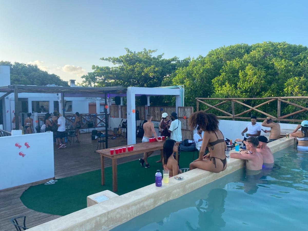 Why Not Rooftop Party Hostel Playa del Carmen Dış mekan fotoğraf