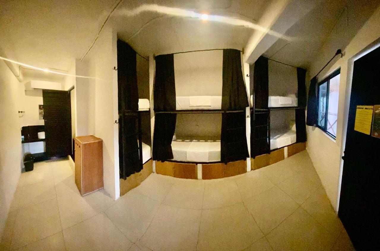 Why Not Rooftop Party Hostel Playa del Carmen Dış mekan fotoğraf